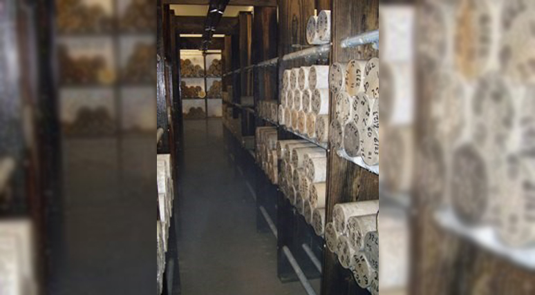 State-of-The-Art Concrete Curing Room